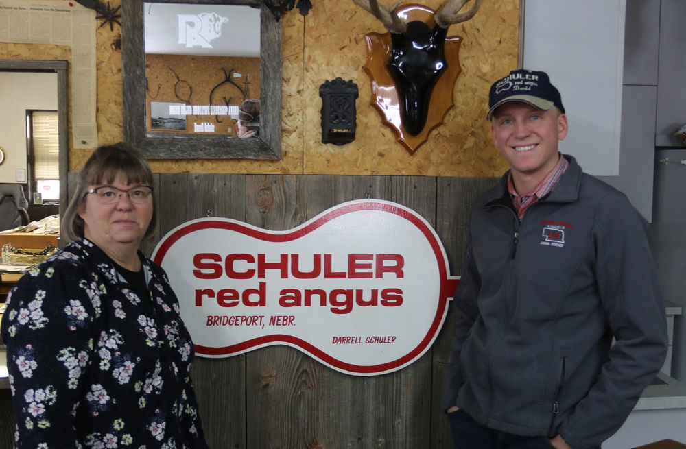 Diving into a sea of red: Morrill County ranch specializes in Red Angus